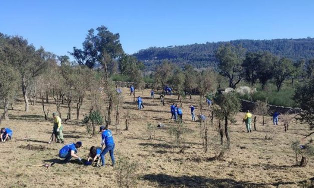 Projeto FUTURO promove floresta nativa em Santo Tirso